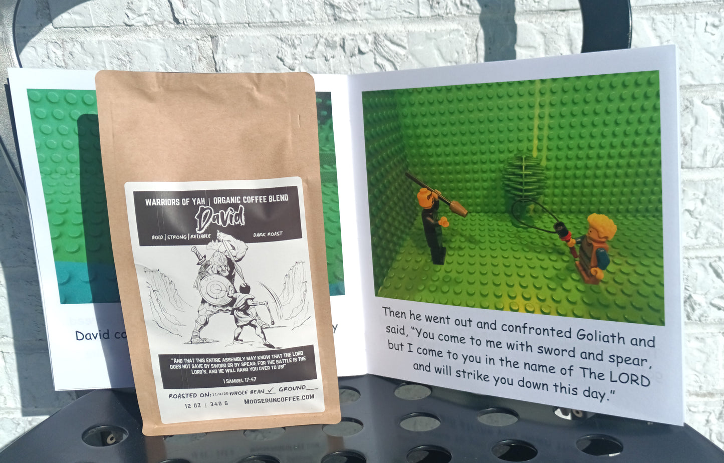 Warriors of Yah-David (Organic) With Book